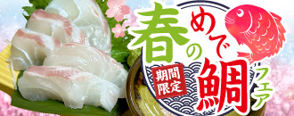 春のめで鯛フェア
